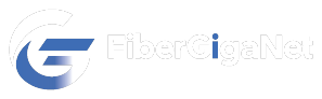 FiberGigNet